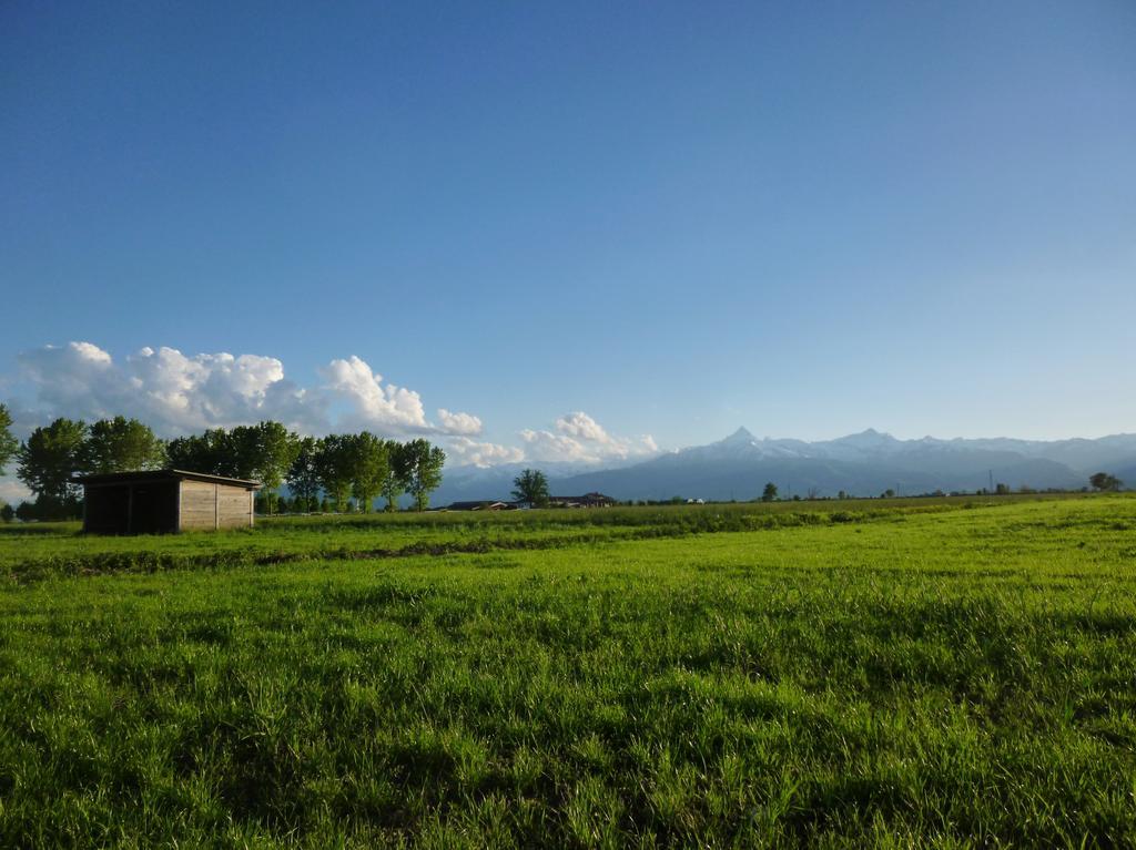 Tenuta Ajrale Vigone Екстериор снимка